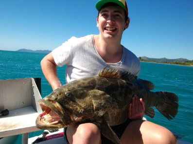 Gone Fishing By Coral Sea Fishing Charters Airlie Beach - Tourism Brisbane 4