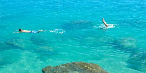 Salty Dog Sea Kayaking - Tourism Brisbane 1