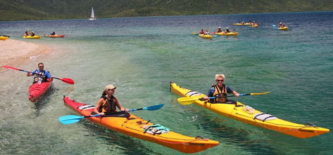 Salty Dog Sea Kayaking - Tourism Brisbane 2