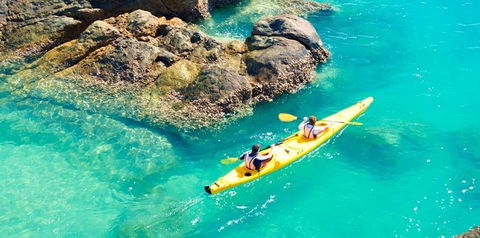 Salty Dog Sea Kayaking - Tourism Brisbane 9