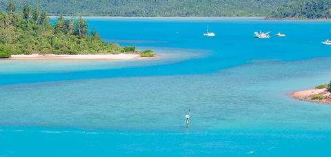 Salty Dog Sea Kayaking - Tourism Brisbane 10