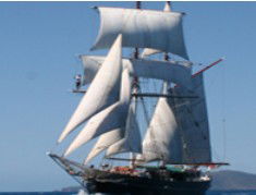 Adventure Catamarans Dive And Sail - Tourism Brisbane 0