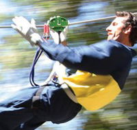 Adventure Parc - Brisbane 4u