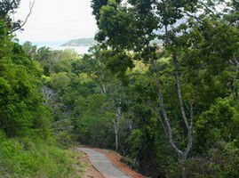 The Airlie Creek Track - Tourism Brisbane 1