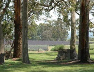 Amosfield QLD Brisbane Tourism