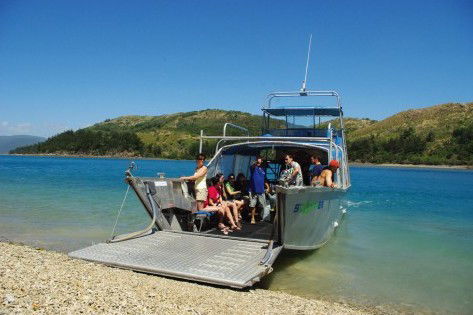 Scamper - Whitsunday Island Camping Connection - Tourism Brisbane 0