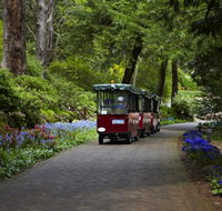 Araluen Botanic Park - Tourism Brisbane