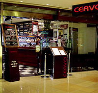 Cervo - Tourism Brisbane