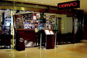 Cervo - Brisbane Tourism 0