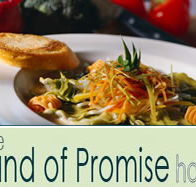 Land of Promise Hotel - Brisbane Tourism