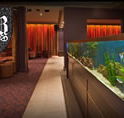 AB Hotel - Brisbane Tourism