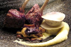 Double Bay NSW Tourism Brisbane