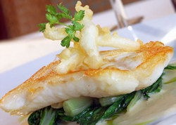 Rat N Parrot British Pub - Tourism Brisbane 1