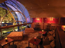 Cohibar - Brisbane Tourism 1