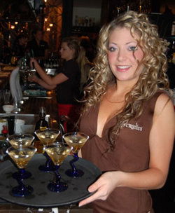 The Bath Hotel - Brisbane Tourism 1