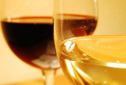 Rrose Bar - Tourism Brisbane 3