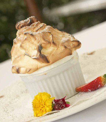 Cotton Tree QLD Tourism Brisbane