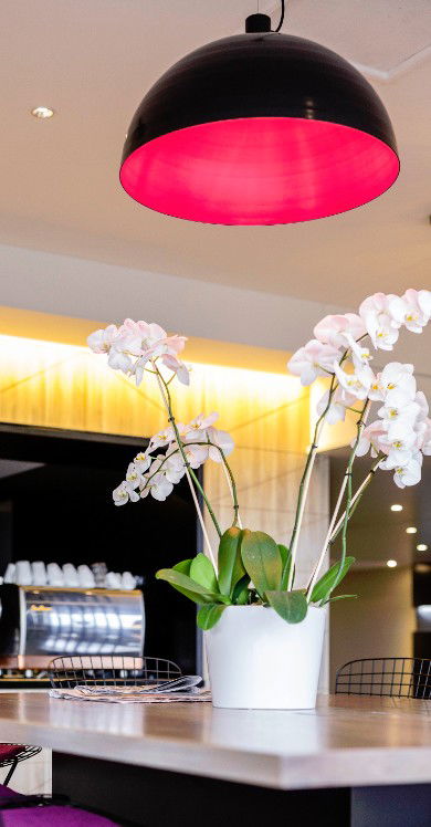 MRepublic Restaurant, Bar And Lounge - Brisbane 4u 4