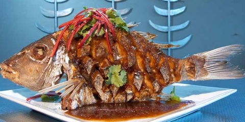 Fish On Parkyn - Tourism Brisbane 5