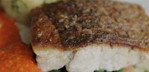 Portabella Licensed Restauraunt - Tourism Brisbane 1