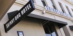 Skinny Dog Hotel - Brisbane 4u 0