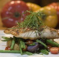 Queens Arms Hotel - Tourism Brisbane