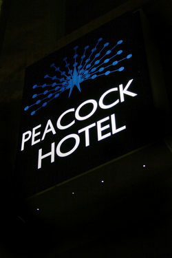Peacock Inn Hotel - Tourism Brisbane 0