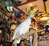 A Friend In Hand - Tourism Brisbane