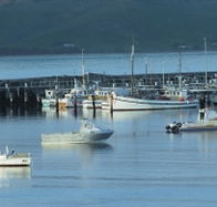 The Apollo Bay Hotel - Tourism Brisbane