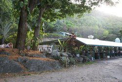 Ellis Beach QLD Tourism Brisbane