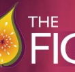 Pickled Fig - Brisbane Tourism