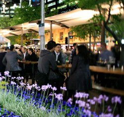 Quay Bar - Brisbane Tourism 0