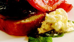 Shire Hall Hotel - Tourism Brisbane 1