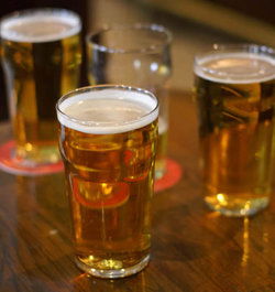 Shamrock Hotel Alexandra - Tourism Brisbane 2