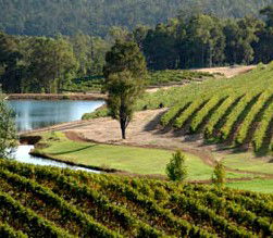 Upper Capel WA Brisbane 4u