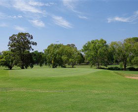 Singleton Golf Club - Tourism Brisbane 1