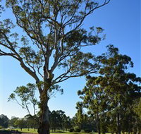 Ryde-Parramatta Golf Club - Tourism Brisbane
