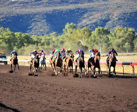 Alice Springs Turf Club - Brisbane 4u 6