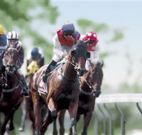 Colac Turf Club - Tourism Brisbane