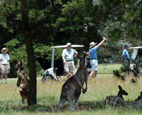 Newton Boyd NSW Tourism Brisbane
