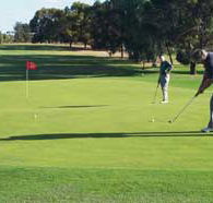 Waikerie Golf Club - Tourism Brisbane
