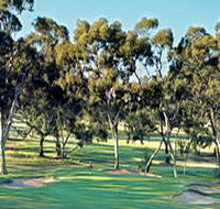 Tanunda Pines Golf Club - Brisbane Tourism