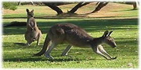 Rockingham Golf Club - Brisbane 4u 2