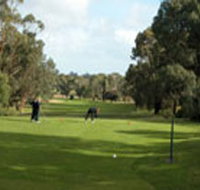 Mount Gambier Golf Club - Tourism Brisbane