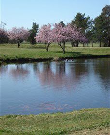RMC Golf Club - Brisbane 4u 0