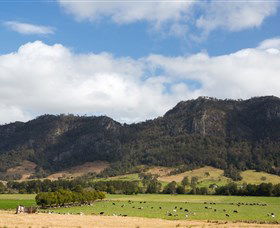 Terreel NSW Tourism Brisbane