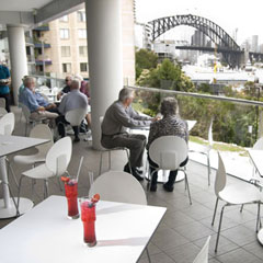Lavender Bay NSW Tourism Brisbane