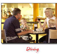 Steelers Club - Brisbane Tourism