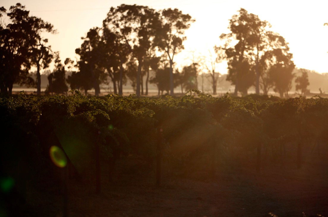 Wilyabrup WA Tourism Brisbane