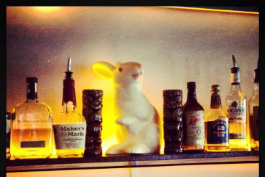 Hairy Canary - Brisbane Tourism 0